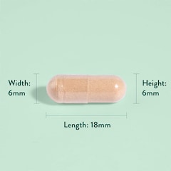 Pycnogenol 30mg 60 Capsules
