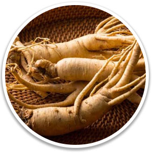 Puravive Ingredients White Korean Ginseng