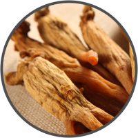 VigRX Plus Ingredients Asian Red Ginseng