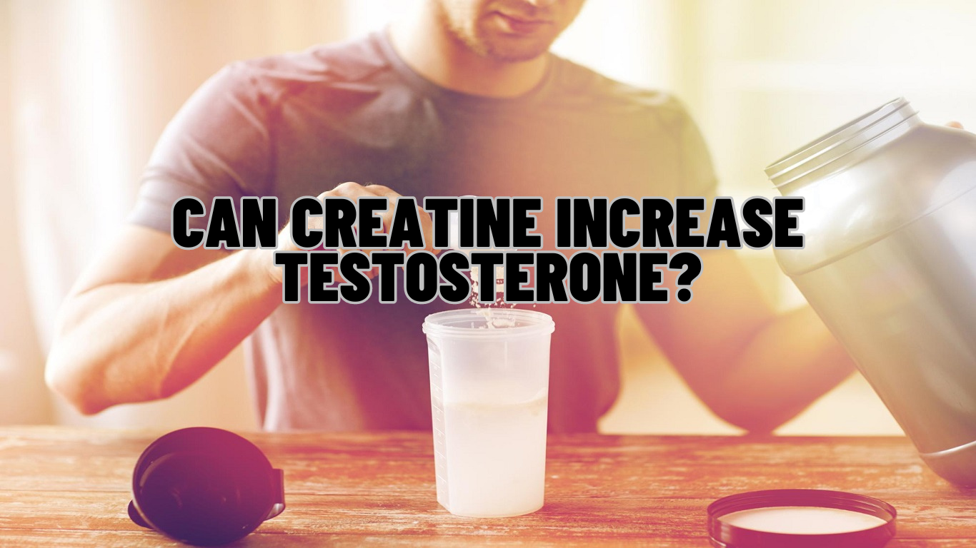 Can Creatine Increase Testosterone