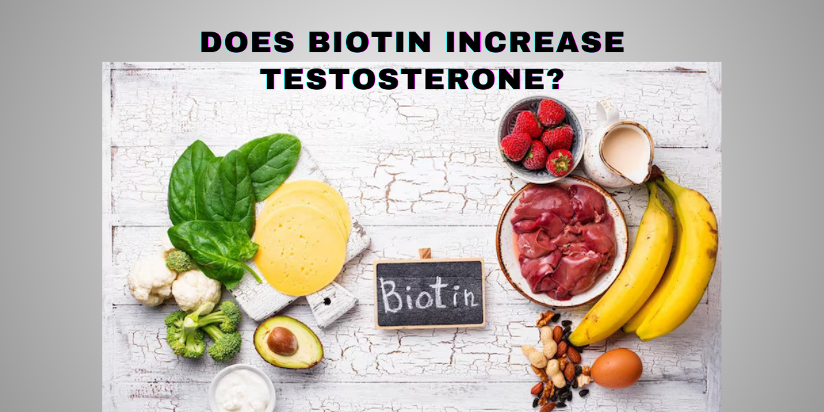Does Biotin increase testosterone