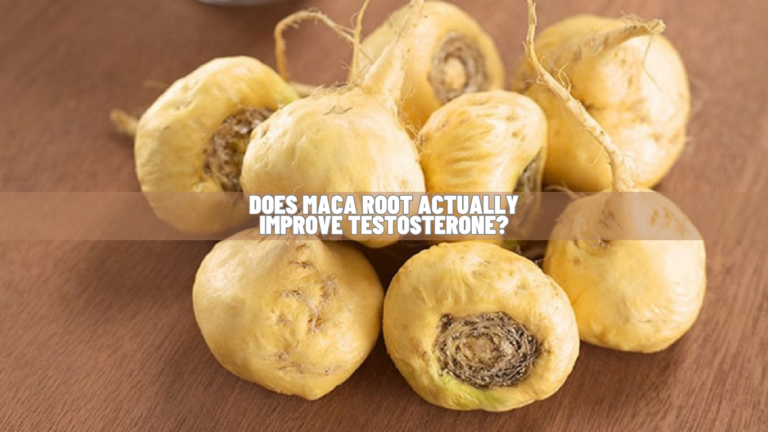 Does Maca Root Increase Testosterone? Know Science!