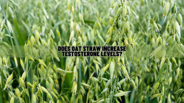 Does Oat Straw Increase Testosterone Levels? Know Science!