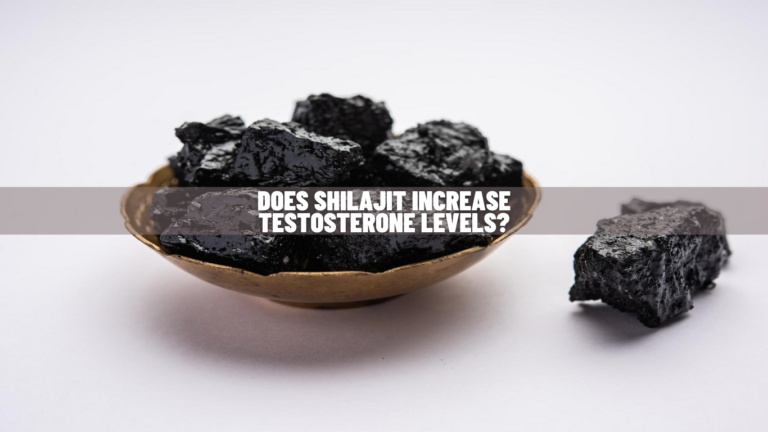 Does Shilajit Increase Testosterone Levels? Know Science!