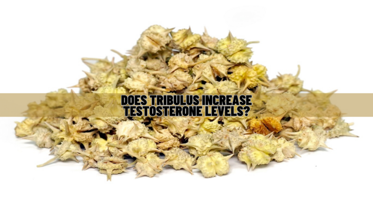 Does Tribulus Increase Testosterone Levels? Know Science!