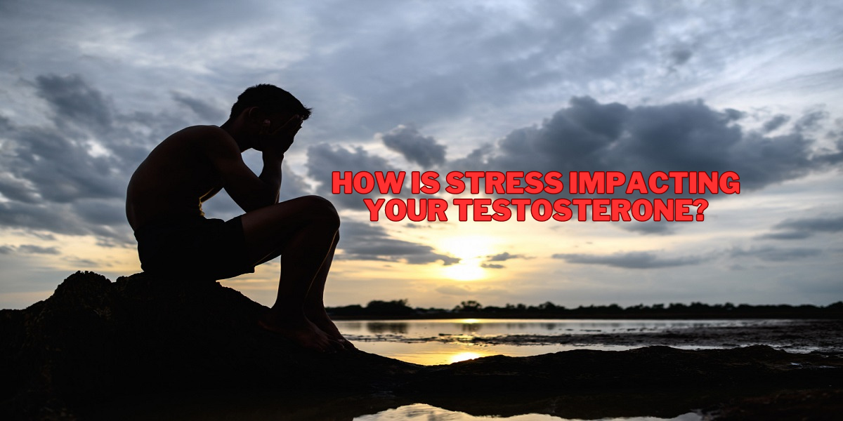 How Is Stress Impacting Your Testosterone