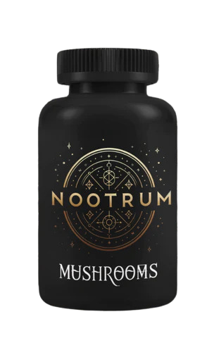 Nootrum Review